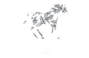 EQUS